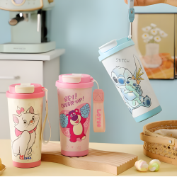 Stainless Steel Bottle 650 ml